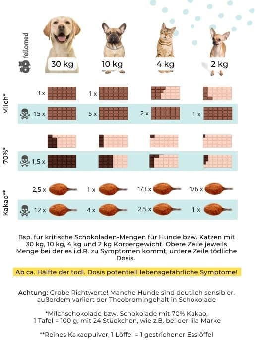 Schokoladenvergiftung: Gefährliche Mengen für Hund & Katze