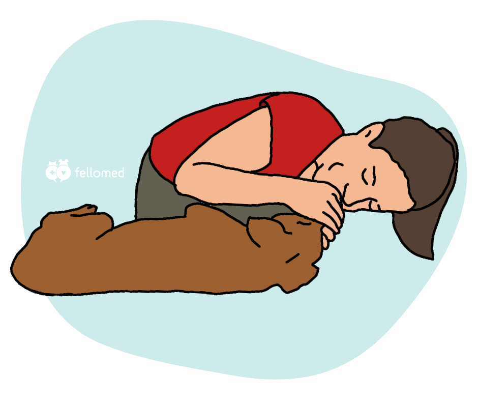 Wiederbelebung bei Hund und Katze: Beatmung