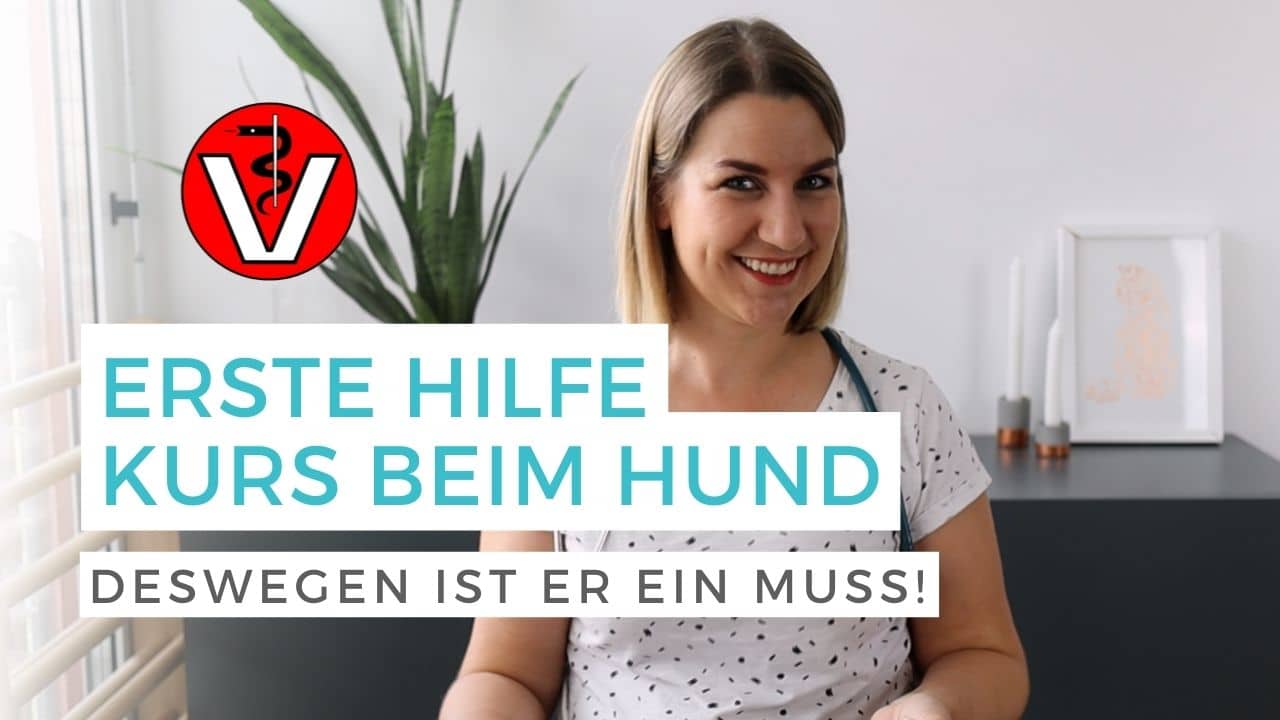 Vorstellungsvideo zum Onlinekurs Erste Hilfe am Hund