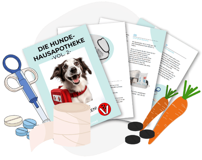 MockUp vom E-Book "Hausapotheke für Hunde"