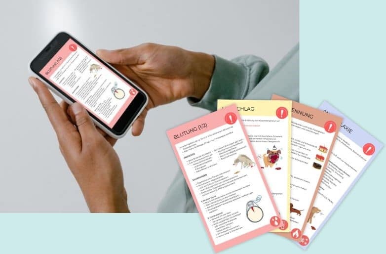 Infokarten Notfälle Erste Hilfe Kurs Hund