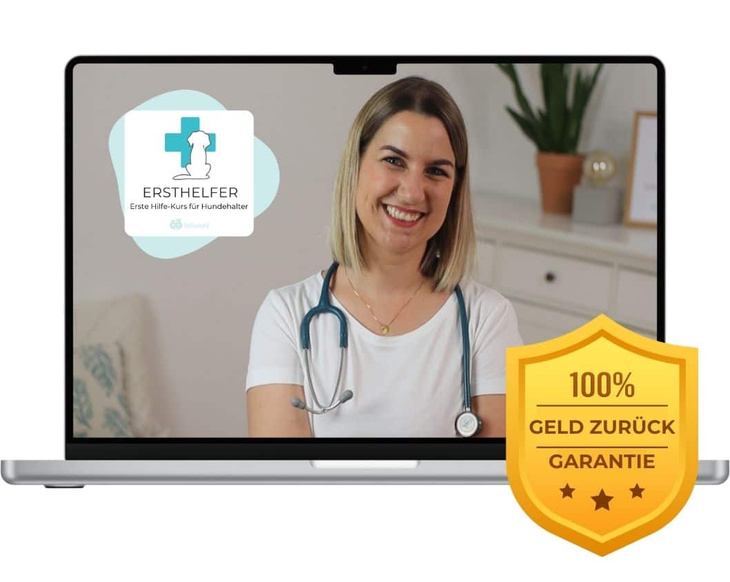 Kurs Erste Hilfe am Hund von Tierärztin Dr. Iris Wagner-Storz