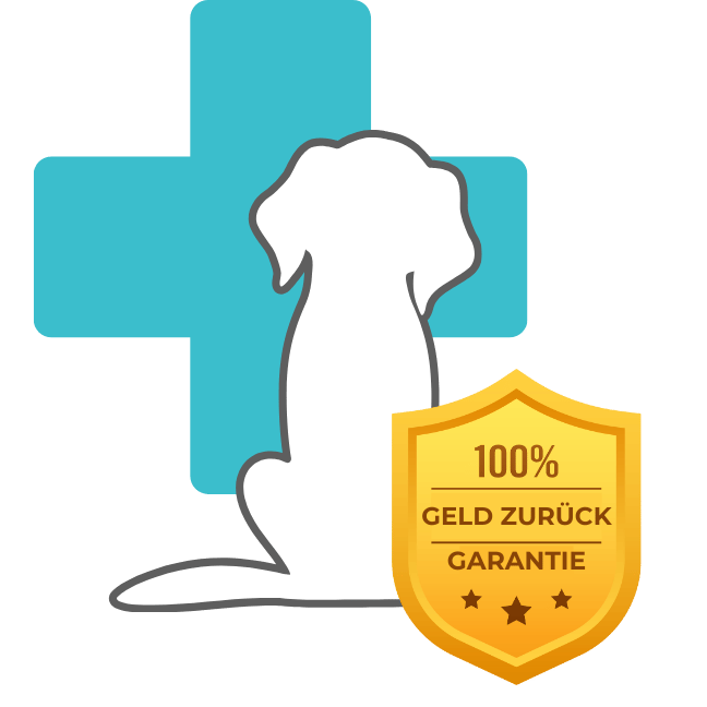 Logo Kur Erste Hilfe beim Hund mit Geld zurück Garantie