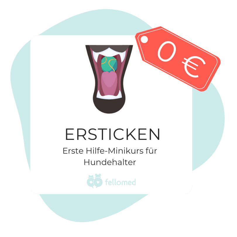 Logo Minikurs ERsticken Hund 0 €