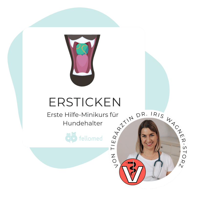 Logo Minikurs Ersticken Hund