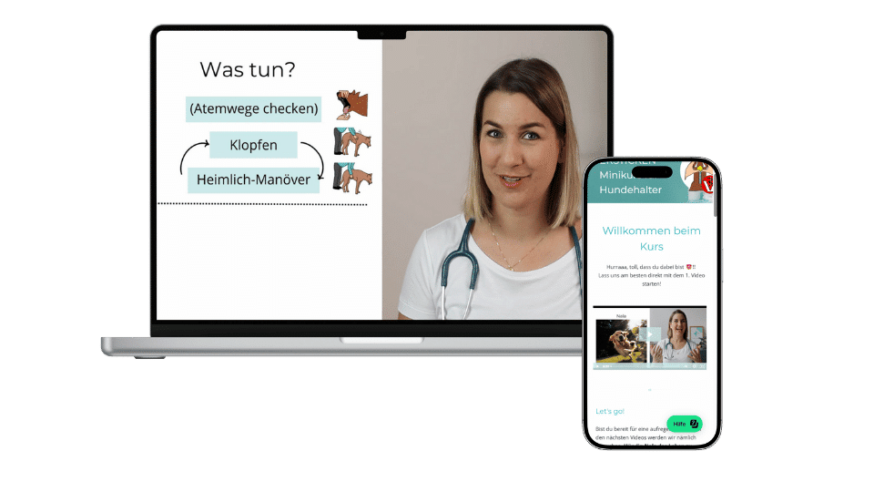 PC und Handy mit Eindrücken vom Minikurs Ersticken beim Hund