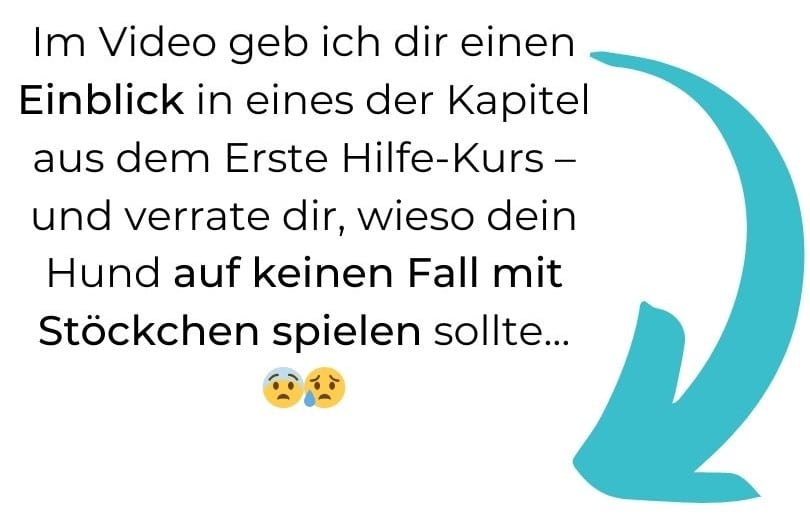 Im Video geb ich einen Einblick in den Erste HIlfe Kurs