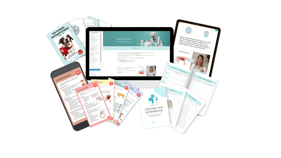MockUp Inhalte Erste Hilfe Hund Onlinekurs