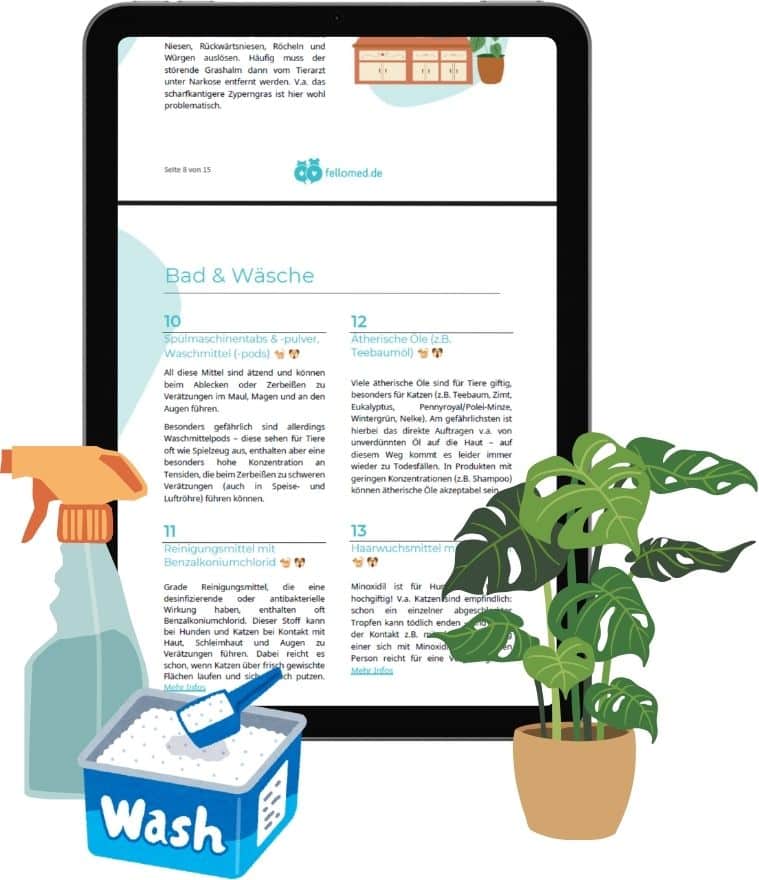 Einblick in den Guide "Heimliche Gefahren für Hund & Katze"