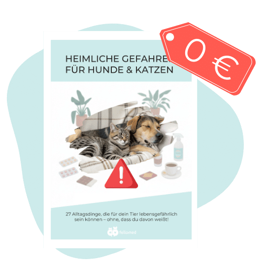 Titelbild Guide "Heimliche Gefahren für Hunde und Katzen"