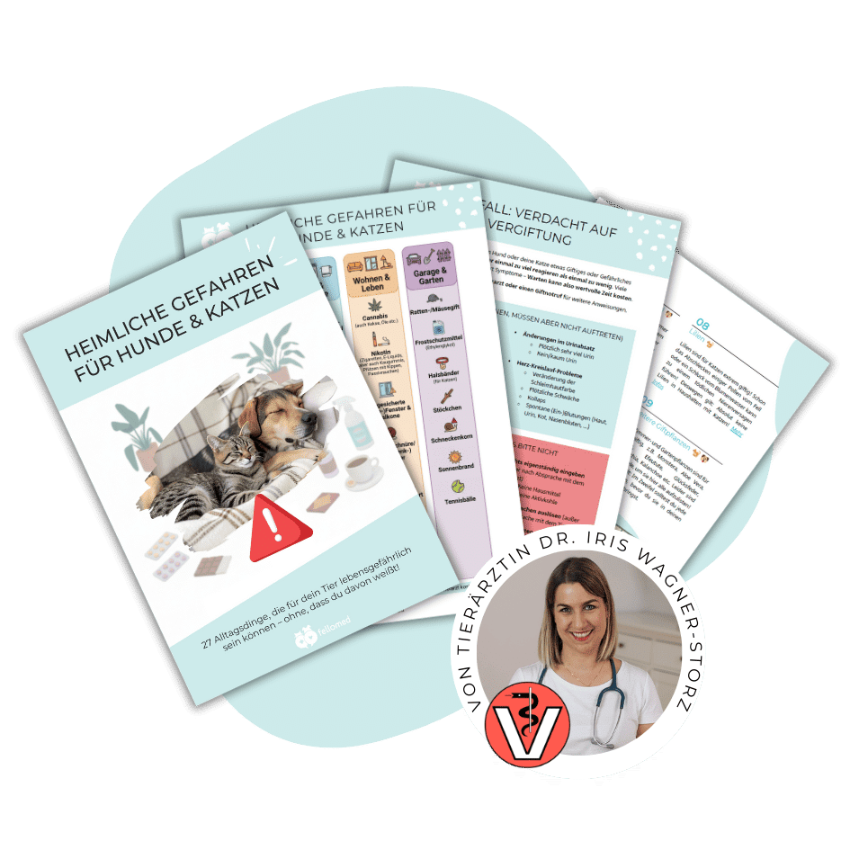 Ein Übersichtsbild zu einem Ratgeber namens "Heimliche Gefahren bei Hund & Katze"